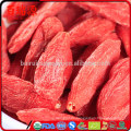 Mano selecciona bayas de goji goji krem ​​bayas de goji secas con pocas calorías